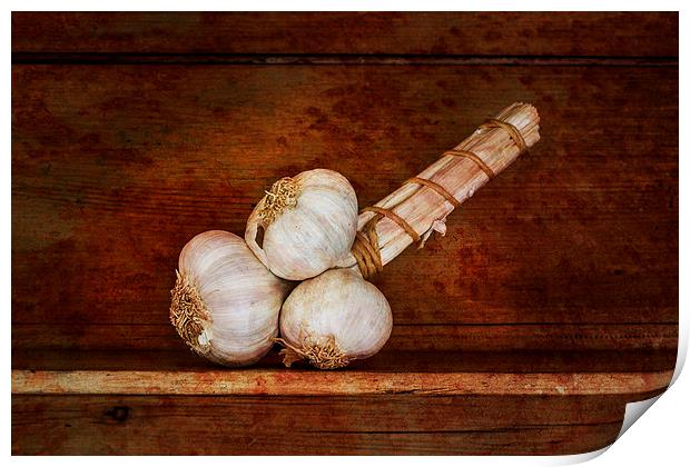  Bunch of garlic Print by David Hare