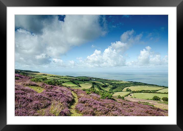  Summer on the Exmoor Coastline Framed Mounted Print by Bob Small