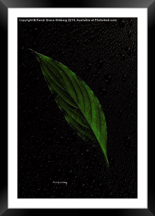  Healthy Green Framed Mounted Print by Randi Grace Nilsberg