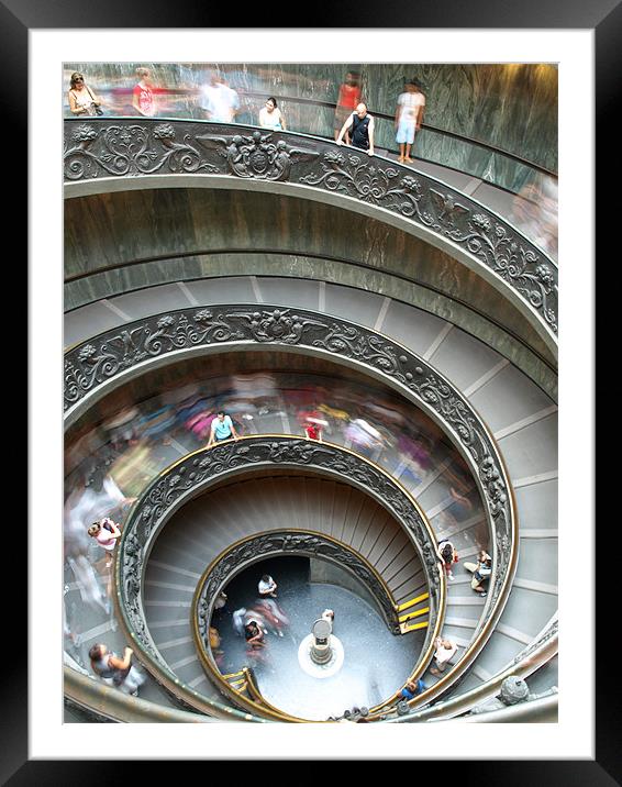 Vatican staircase Framed Mounted Print by dave bownds