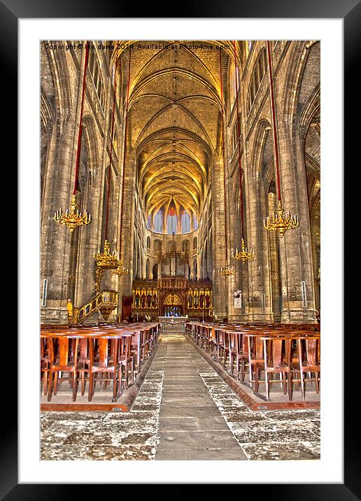  Auch Cathedral, France Framed Mounted Print by Images of Devon