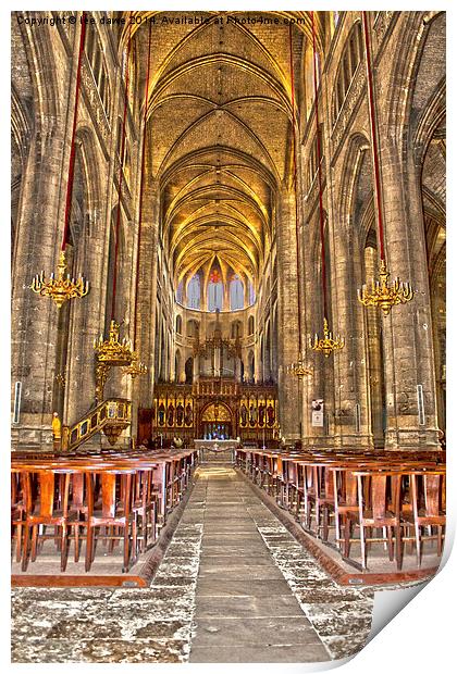  Auch Cathedral, France Print by Images of Devon