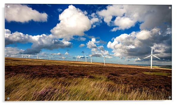 Ovenden Moor Wind Turbines Acrylic by David Hirst