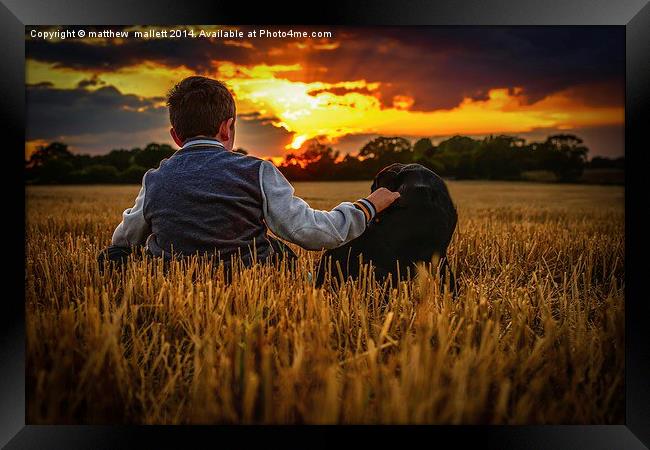  Boy and dog watching sunset Framed Print by matthew  mallett