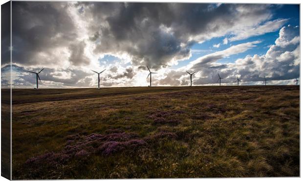  Wind Power Canvas Print by David Hirst