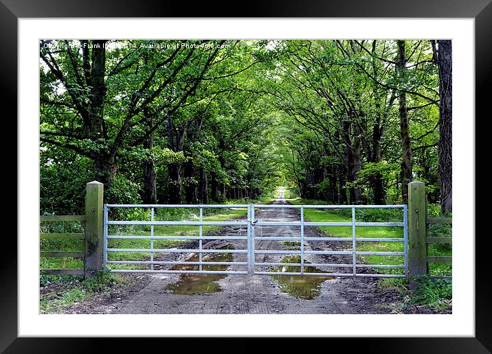 Countryside Tree lined Avenue to nowhere Framed Mounted Print by Frank Irwin