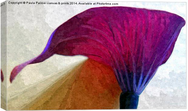 single lily flower Canvas Print by Paula Palmer canvas