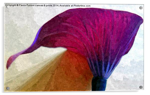 single lily flower Acrylic by Paula Palmer canvas