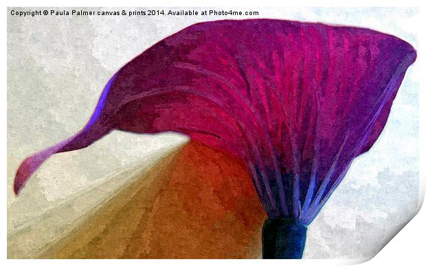 single lily flower Print by Paula Palmer canvas