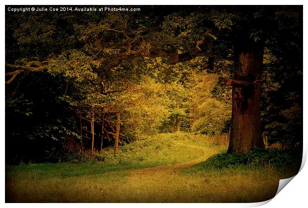 Blickling Woods 12 Print by Julie Coe