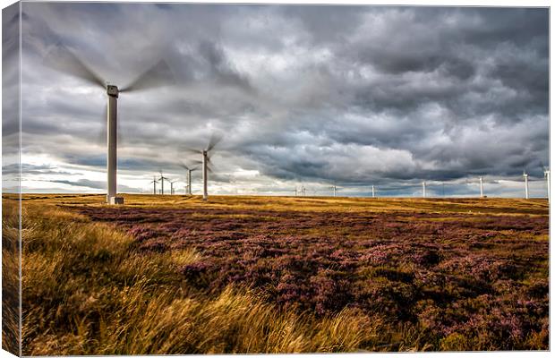  Wind Turbines and Heather Canvas Print by David Hirst