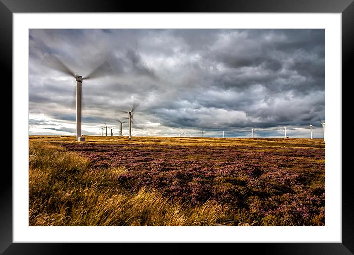  Wind Turbines and Heather Framed Mounted Print by David Hirst