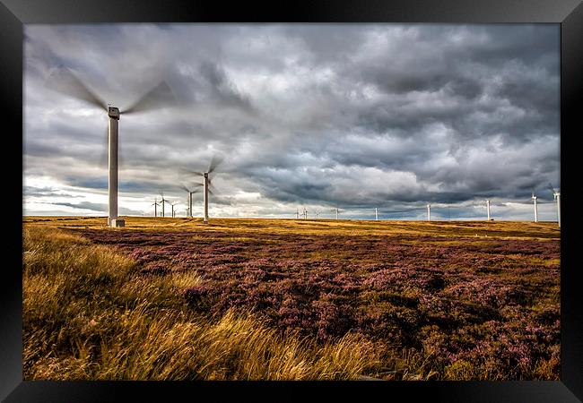  Wind Turbines and Heather Framed Print by David Hirst