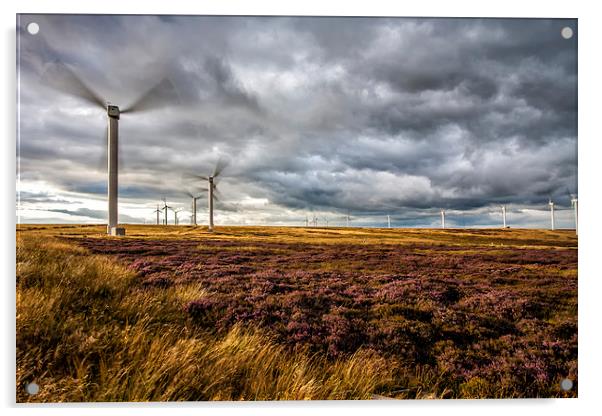  Wind Turbines and Heather Acrylic by David Hirst