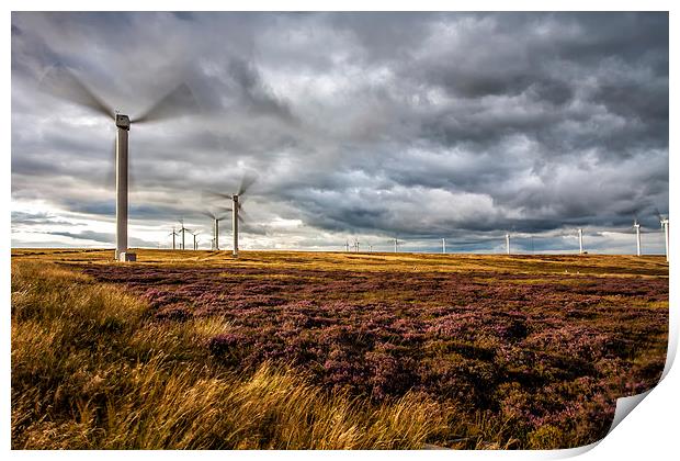  Wind Turbines and Heather Print by David Hirst