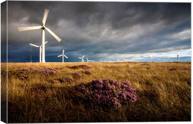 Wind Turbine,at Ovenden Moor Canvas Print by David Hirst