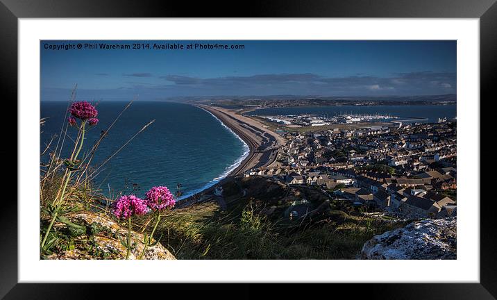  Chesil beach Framed Mounted Print by Phil Wareham