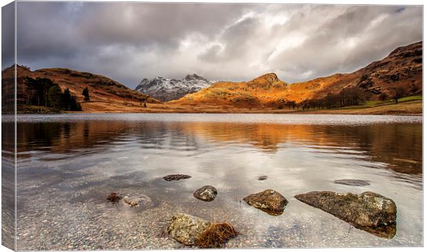  Blea Tarn,lake district,mid afternoon Canvas Print by David Hirst