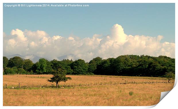  Clouds over the Trees Print by Bill Lighterness