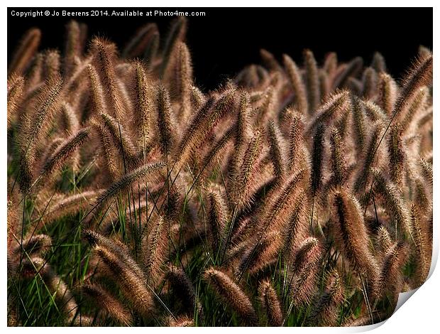 whispering in the wind Print by Jo Beerens