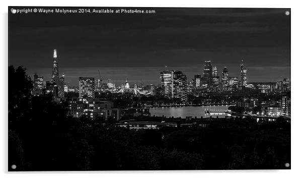  London Cityscape Acrylic by Wayne Molyneux