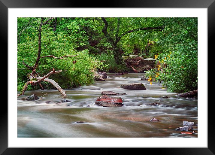 Forest Glen  Framed Mounted Print by Jonah Anderson Photography