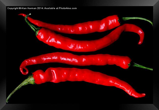 Four Red Chilies Framed Print by Alan Harman