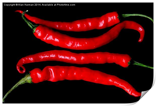 Four Red Chilies Print by Alan Harman