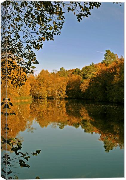 The Lake at Rushmere Country Park  Canvas Print by graham young