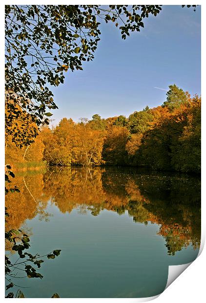 The Lake at Rushmere Country Park  Print by graham young