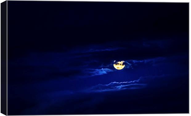 Goodnight Moon Canvas Print by Peta Thames