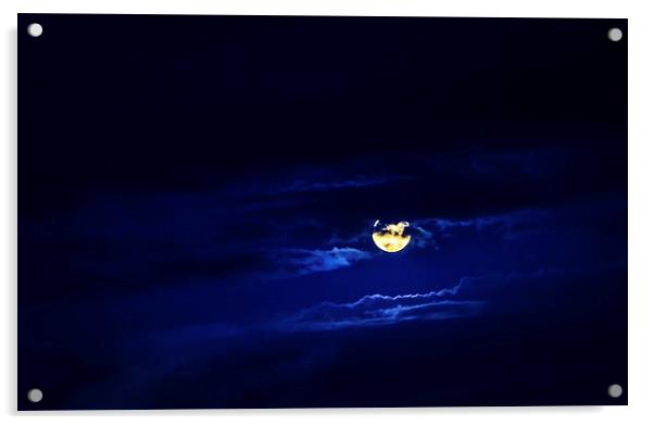 Goodnight Moon Acrylic by Peta Thames