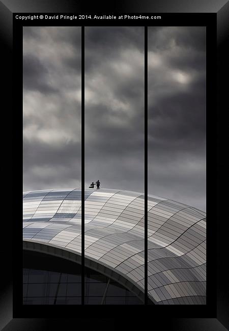 Roof of the Sage Framed Print by David Pringle