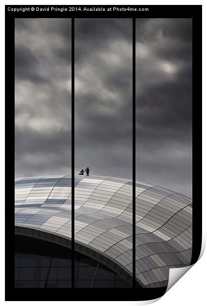 Roof of the Sage Print by David Pringle