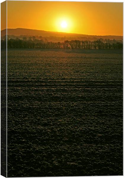 Winter Sunrise  Canvas Print by graham young