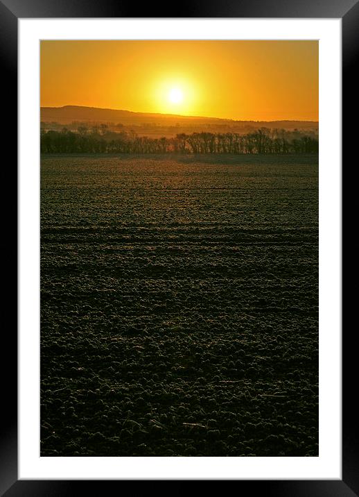 Winter Sunrise  Framed Mounted Print by graham young