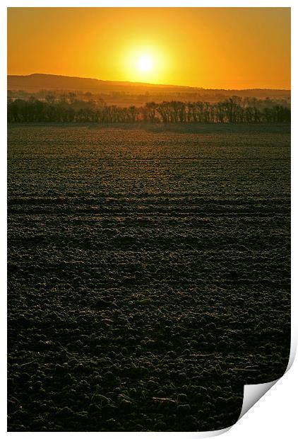 Winter Sunrise  Print by graham young