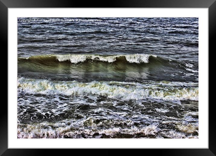  A wave of reflection Framed Mounted Print by Avril Harris