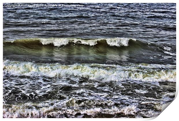  A wave of reflection Print by Avril Harris