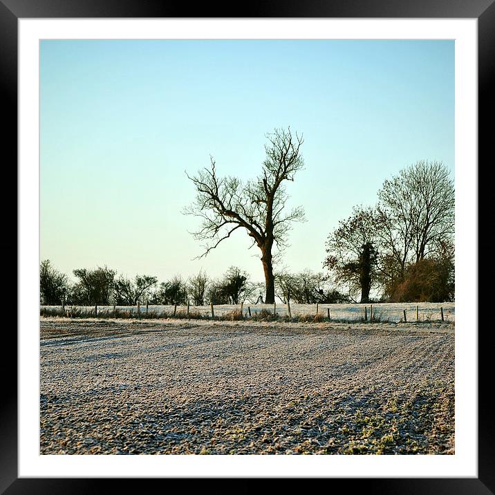 A Frosty Morning in the Chilterns  Framed Mounted Print by graham young