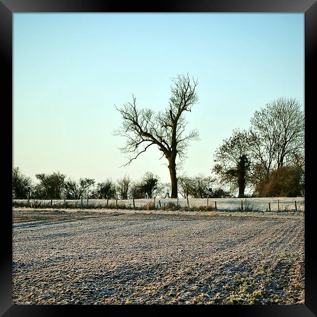 A Frosty Morning in the Chilterns  Framed Print by graham young