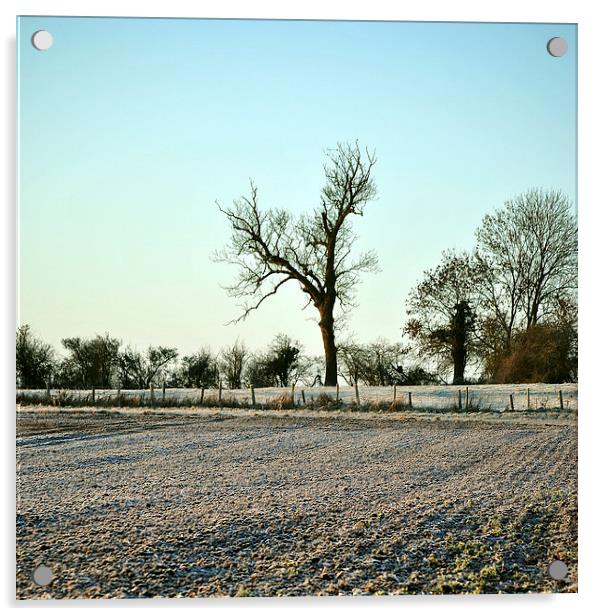 A Frosty Morning in the Chilterns  Acrylic by graham young