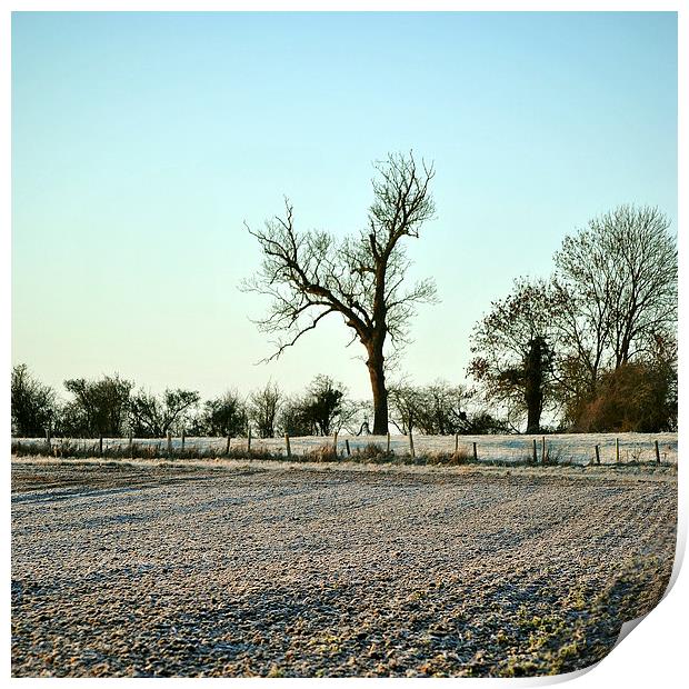 A Frosty Morning in the Chilterns  Print by graham young