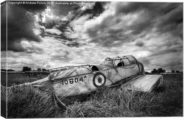 Airplane remains Canvas Print by Andrew Pelvin