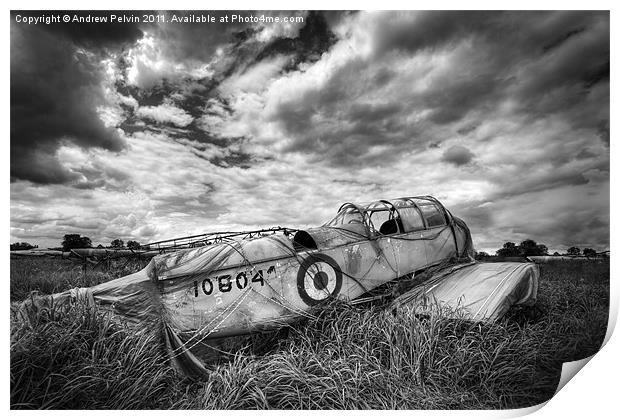 Airplane remains Print by Andrew Pelvin