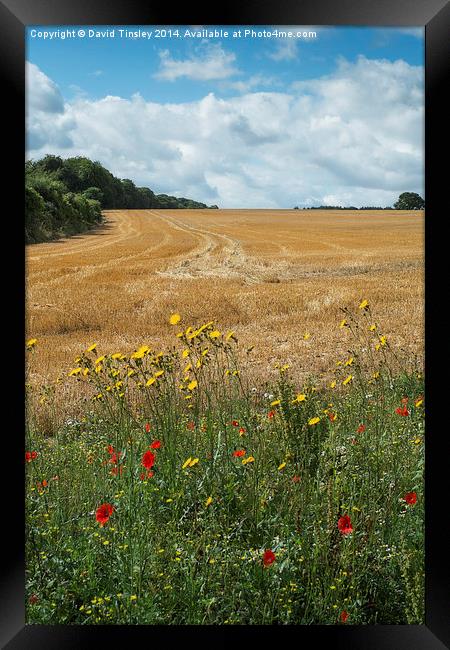  A Summer's Day Framed Print by David Tinsley