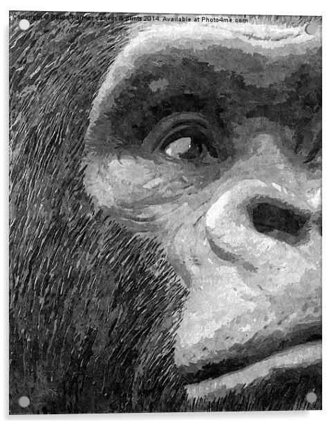 A curious gorilla  Acrylic by Paula Palmer canvas