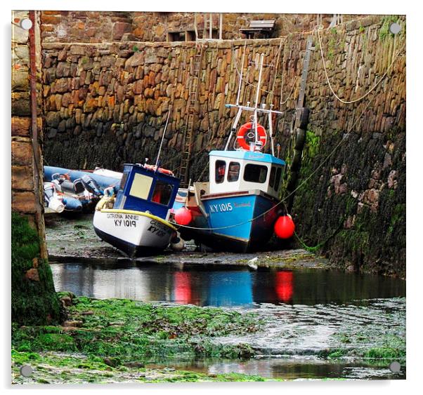  crail harbor Acrylic by dale rys (LP)