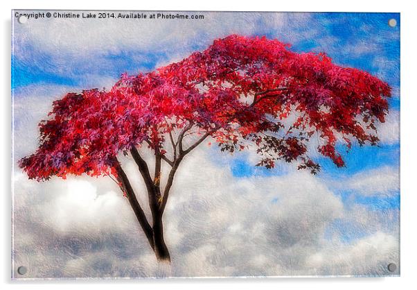  Red Tree in Summer Acrylic by Christine Lake