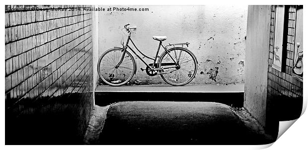  bicycle Print by Doug McRae